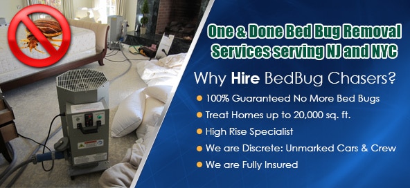 Non-toxic Bed Bug treatment St. George Staten Island, bugs in bed St. George Staten Island, kill Bed Bugs St. George Staten Island