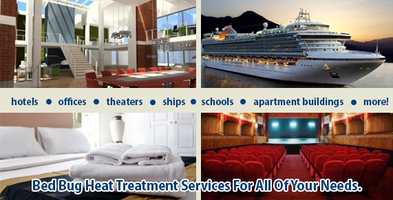 Bed Bug pictures Staten Island, Bed Bug treatment Staten Island, Bed Bug heat Staten Island