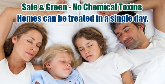 Chemical Free Staten Island Bed Bug Treatment , Chemical Free Bed Bug Treatment Staten Island , Chemical Free Bed Bug Treatment NY , Bed Bug Spray Staten Island , Bed Bug Spray NY , Kill Bed Bugs Staten Island , Kill Bed Bugs NY