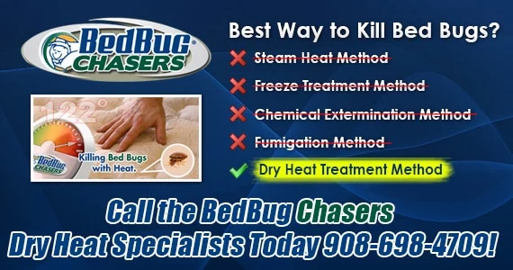 Bed Bug heat treatment Ocean Breeze Staten Island, Bed Bug images Ocean Breeze Staten Island, Bed Bug exterminator Ocean Breeze Staten Island