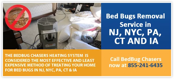 Bed Bug bites New Drop Staten Island, Bed Bug spray New Drop Staten Island, hypoallergenic Bed Bug treatments New Drop Staten Island