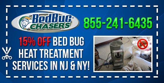 Bed Bug pictures Richmond Staten Island, Bed Bug treatment Richmond Staten Island, Bed Bug heat Richmond Staten Island